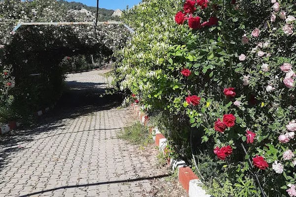 Manisa Ruh Sağlığı ve Hastalıkları Hastanesi - Resim 5
