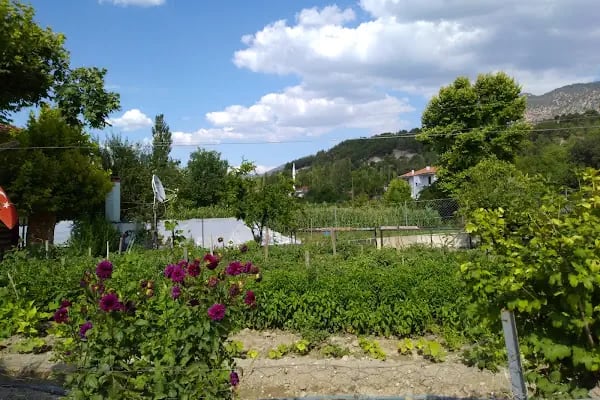 Alcı - Resim 5