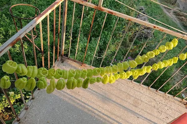 Alcı - Resim 6