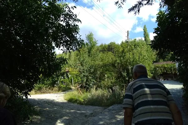 Alcı - Resim 14