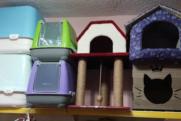 Can Pet Shop Balçova - Resim 17