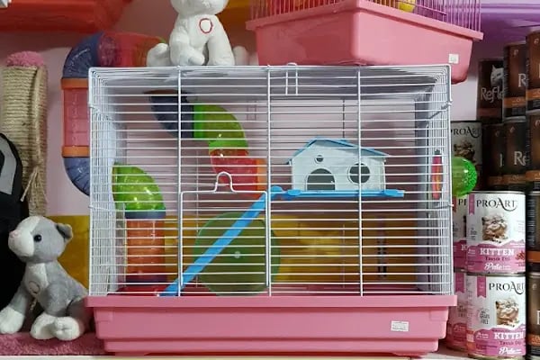 Can Pet Shop Balçova - Resim 9
