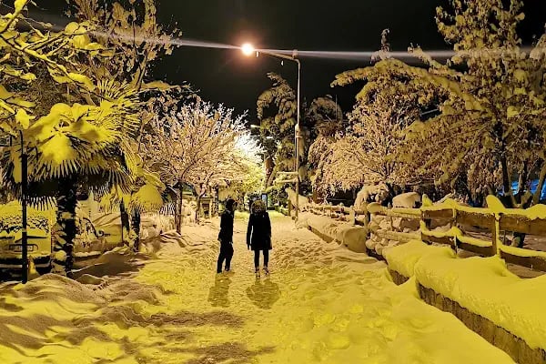 Akçaabat Kaymakamlığı - Resim 11