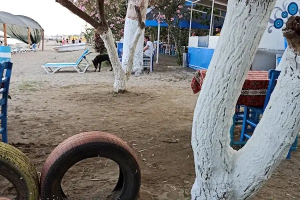 Oba Garden Beach - Resim 20