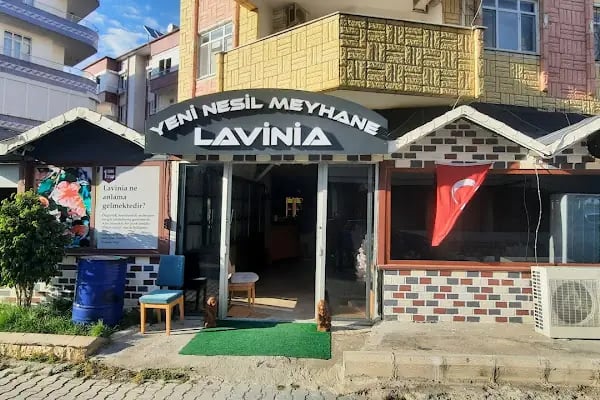 LAVİNİA YENİ NESİL MEYHANE - Resim 19