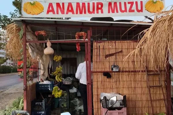 Sarı Hasan Anamur Muzu - Resim 18