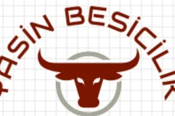 Yasin BESİCİLİK - Resim 6