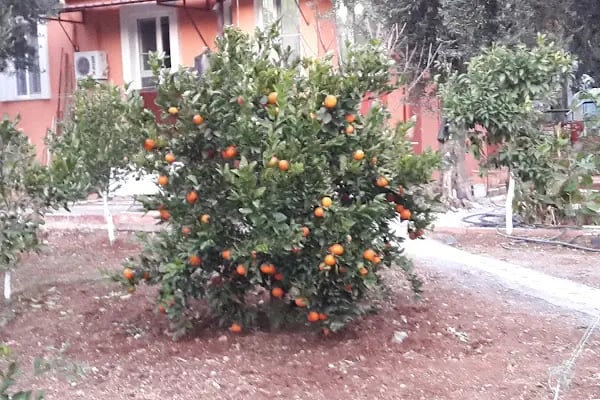 Adana Huzurevi - Resim 17