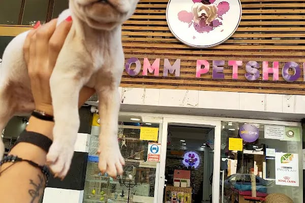 Atomm Petshop - Resim 16
