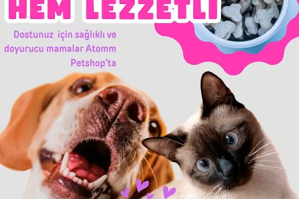 Atomm Petshop - Resim 19