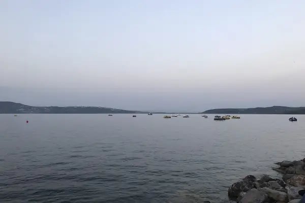 Feyza Bujiteri - Resim 4
