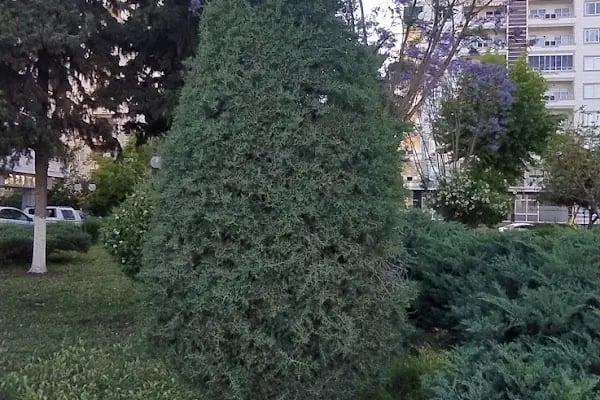 Barış Parkı - Resim 6