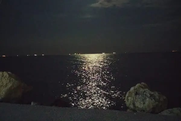 Barış Parkı - Resim 9