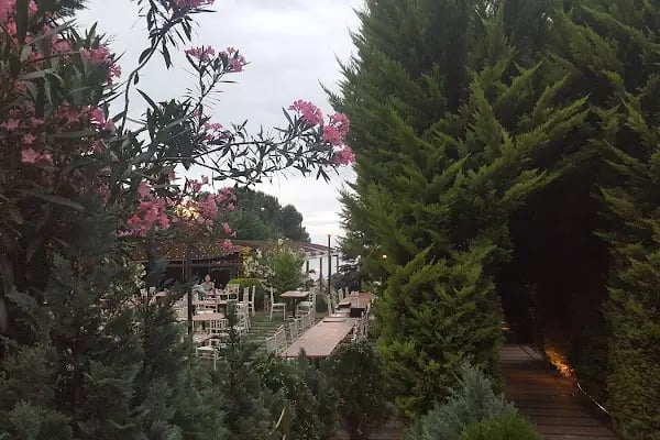Mercan Korupark - Resim 8
