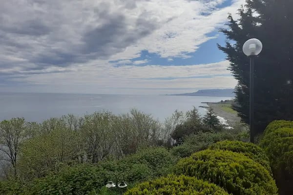 Mercan Korupark - Resim 4