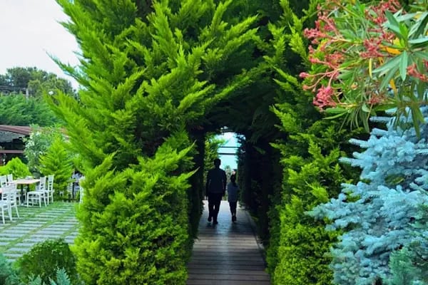 Mercan Korupark - Resim 7