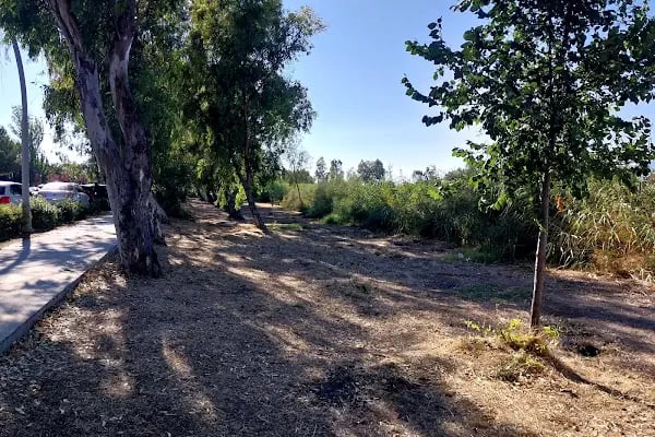 Aliağa Polis Plajı - Resim 16