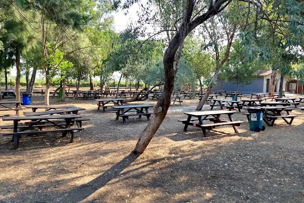 Aliağa Polis Plajı - Resim 4