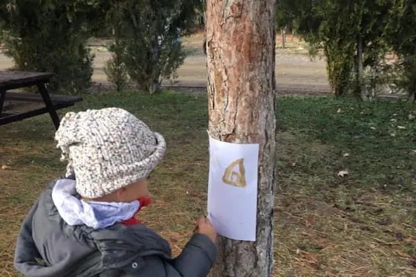 Yeni Orman Okulu (YORA) | Konya Anaokul - Resim 17