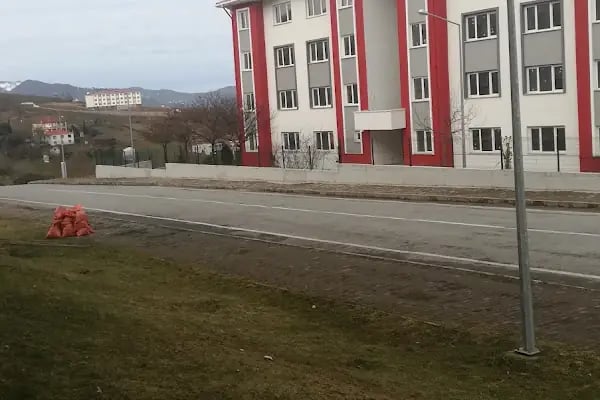 Yıldızlı Toki - Resim 9
