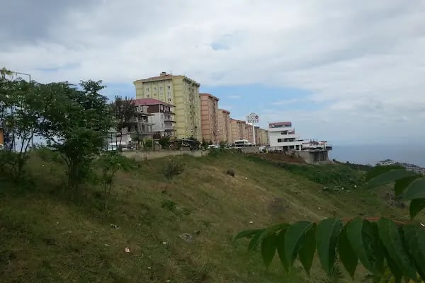Yıldızlı Toki - Resim 7