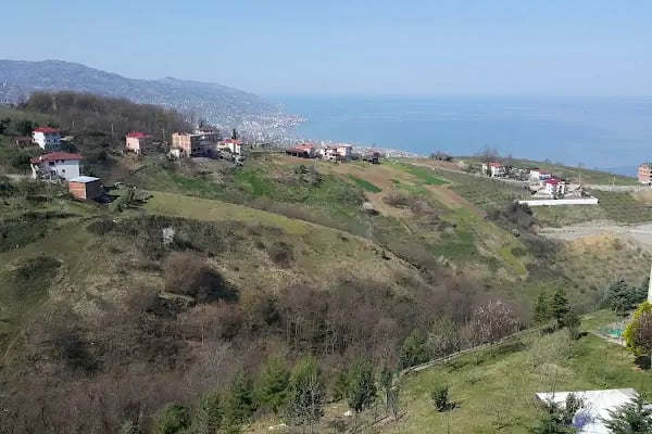 Yıldızlı Toki - Resim 4