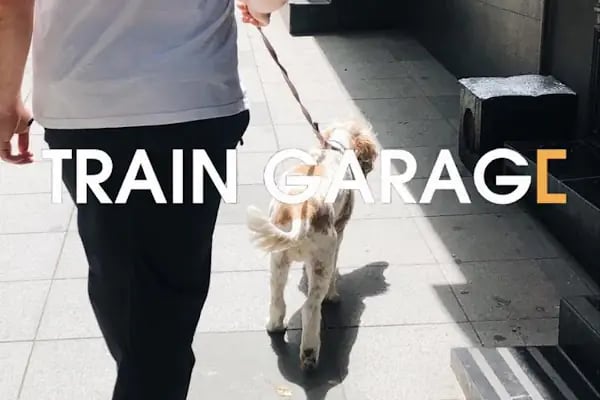 Train Garage - Resim 3