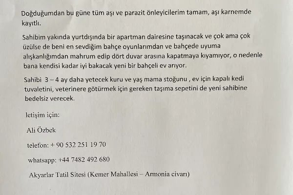 Tufan Veteriner Kliniği - Resim 9