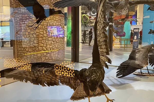 GUHEM Gökmen Uzay Havacılık Eğitim Merkezi - Resim 17