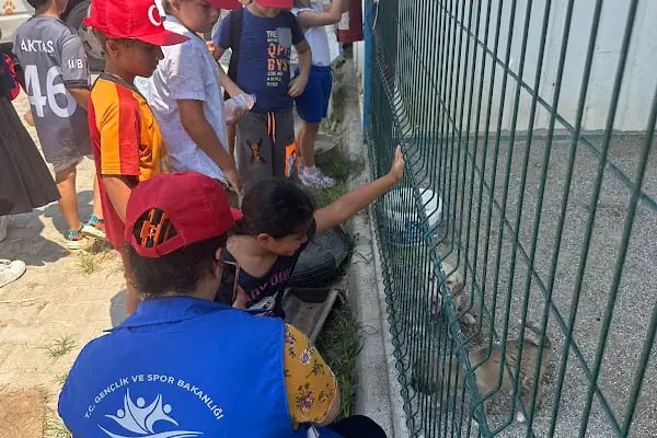 Aksu Belediyesi Veteriner işleri Müdürlüğü - Resim 6