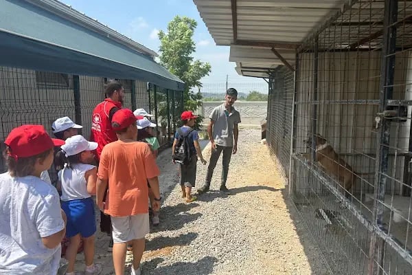 Aksu Belediyesi Veteriner işleri Müdürlüğü - Resim 15