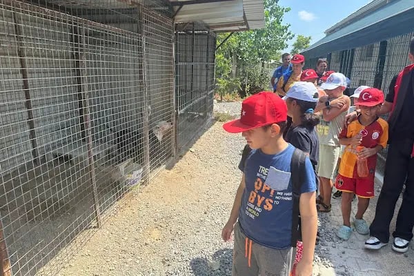 Aksu Belediyesi Veteriner işleri Müdürlüğü - Resim 16