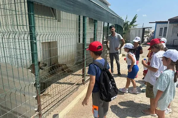 Aksu Belediyesi Veteriner işleri Müdürlüğü - Resim 18