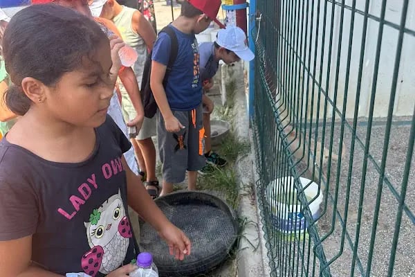 Aksu Belediyesi Veteriner işleri Müdürlüğü - Resim 14