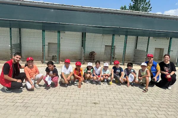 Aksu Belediyesi Veteriner işleri Müdürlüğü - Resim 19