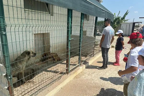 Aksu Belediyesi Veteriner işleri Müdürlüğü - Resim 2