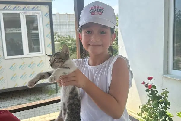 Aksu Belediyesi Veteriner işleri Müdürlüğü - Resim 3