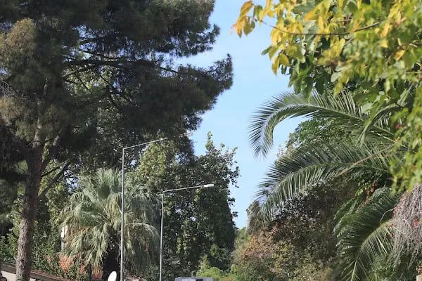 Kızılay Mahallesi Muhtarlığı - Resim 5