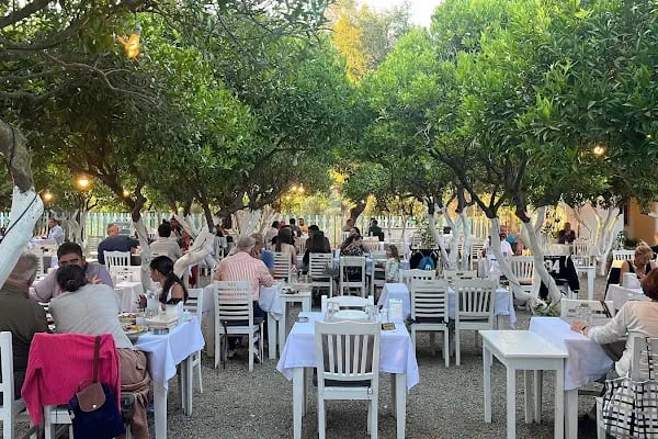 Taşkuyu Restaurant - Resim 2