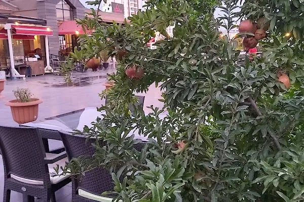 Rumelim Restaurant - Resim 18