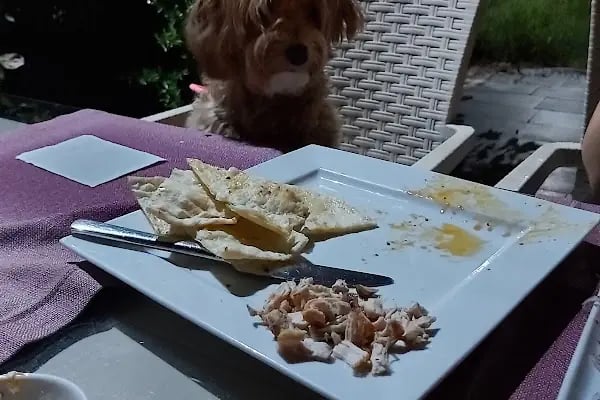 Rumelim Restaurant - Resim 6