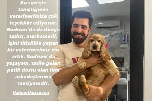 Bodrum Veteriner PetTerapi Veteriner Kliniği - Resim 13