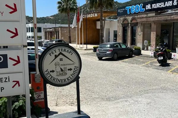 Bodrum Veteriner PetTerapi Veteriner Kliniği - Resim 12