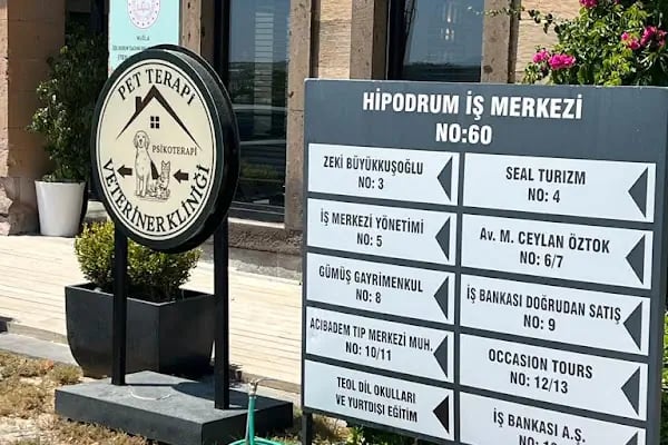 Bodrum Veteriner PetTerapi Veteriner Kliniği - Resim 6