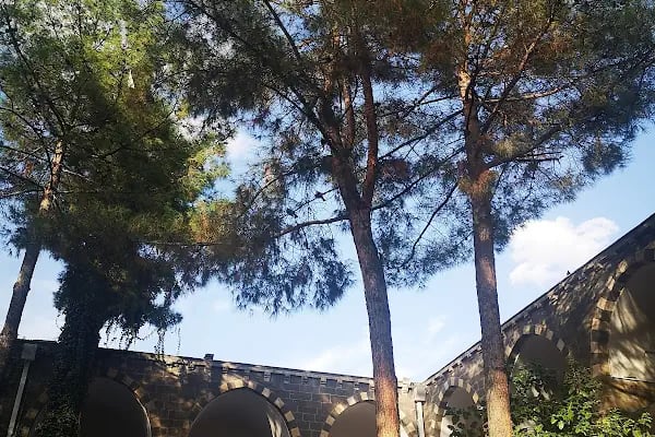 Kervansaray Otel - Resim 14