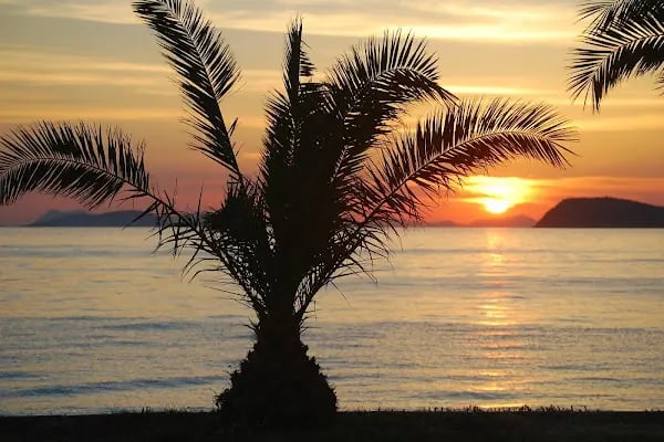 Regulus Beach Resort - Resim 4