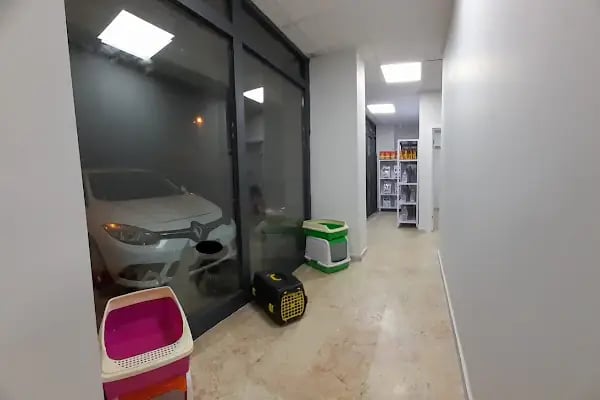 Pet-Ra Veteriner Kliniği - Resim 8