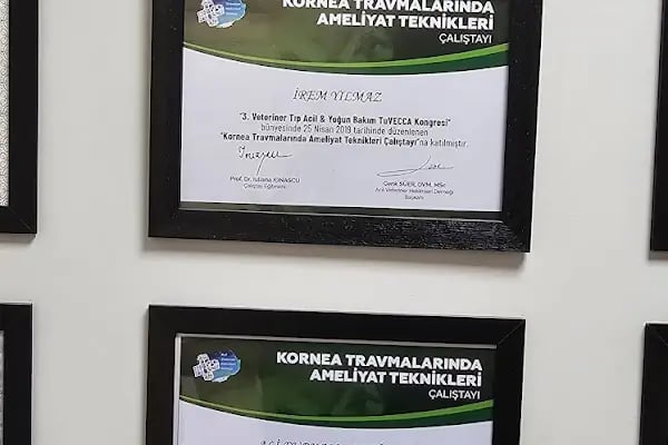Pet-Ra Veteriner Kliniği - Resim 17