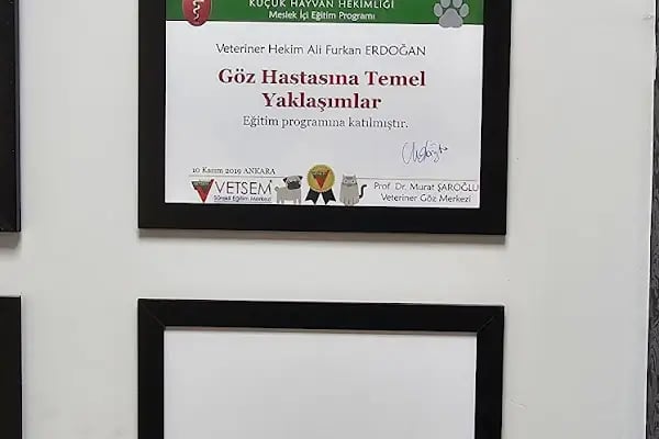 Pet-Ra Veteriner Kliniği - Resim 12