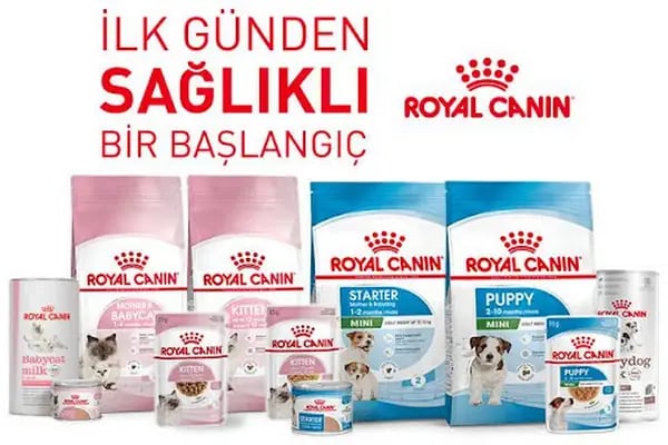Mahmutlar Fundy Petshop Kedi ve Köpek Maması &amp; Aksesuarlar - Resim 19